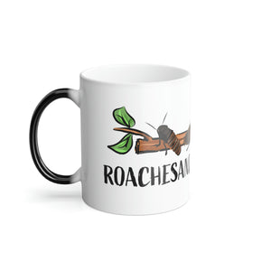 [Premium Quality Dubia Roaches & Isopods With Free Shipping & Live Arrival Guarantee]-ROACHESANDISOPODS.COM